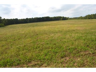 Dekalb County, Indiana Farmland - MAJOR LAND AUCTION - 516+/- ACRES OFFERED IN 18 TRACTS OR COMBINATIONS IN DEKALB COUNTY, INDIANA